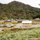 용대관광지 이미지