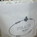 811 | [PRADA] 프라다 미디엄 리나일론 백팩 (1BZ811) 구매후기