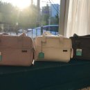 멍멍친구 애견샵 이미지