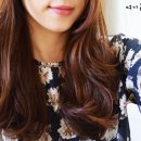 (주)코베라 네이버블로그