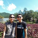 봉평농장 이미지