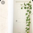 범수농장 이미지