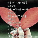 푸른 바구니