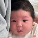 가족머리깎기 | 0개월 아기 육아일기(19일~31일) 국민육아템 후기, 산후도우미 없는 육아, 수유량 및 수유텀
