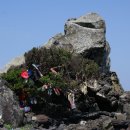 의사오흥태지려 이미지