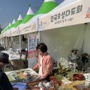 생활문화예술제 | [거창창포원] 제1회 경상남도 생활문화예술제에 다녀왔어요! _ 김정실 기자