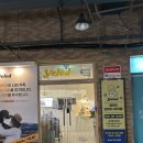 옐레드 부천 신중동점 | [신중동 강아지 유치원/신중동 강아지 호텔/신중동 강아지 놀이방] 옐레드 부천신중동점