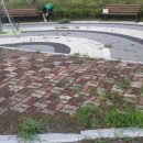 실안소공원 이미지