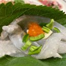 달성횟집식당 | 잠실 숙성회, 송파 숙성회, 신천 횟집 벼락가우리 신천점