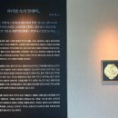 안동문화예술의전당 대구 달서아트센터 극장 교류전 이미지