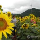 산업단지관리사업소 이미지