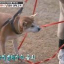개토피아 이미지