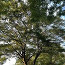 월출산 여우네민박 이미지