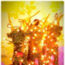 라비에팬션 이미지