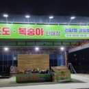 라파엘과일로컬팜스