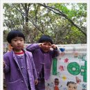 숲속둥지어린이집 이미지