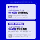 하나투어페이코