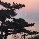 주식회사 그린기프트 네이버블로그