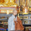법인향림 이미지
