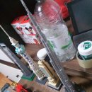 수니컴퍼니 이미지