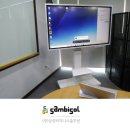 삼성솔루션 파이낸셜뉴스