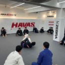 하바스MMA 압구정 이미지