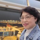 카페달링하버