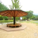 봉학골산림욕장 이미지