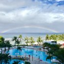 (야간)와인 첫걸음 <구대륙편> | 12월 해외여행지 추천