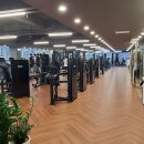 MS휘트니스 이미지