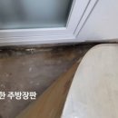 괴정승학 이미지