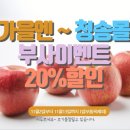 청송사과몰