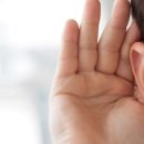 덴마크보청기 이미지