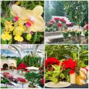 WR(서울특별시 강서구)-[마곡동로]-하-3 | 서울식물원 산책 1부 - 온실 <윈터 가든>전