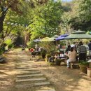 남산풋살경기장(주말) | 시흥드림풋살구장, 직접 다녀온 후기와 장단점