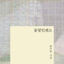 함민복 시집 《물빛인쇄소》(창비, 2026) 이미지