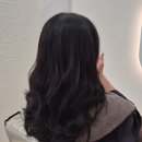 울산야음동우체국 화장실 | 울산 야음동 미용실 셋팅펌 잘하는곳 살롱드네이비 내돈내산 찐만족후기