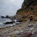 제주 서귀포층 패류화석 산지 이미지