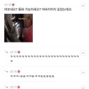 아미현 네이버블로그