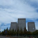 이동수개성만두 이미지