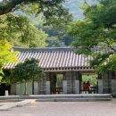 까투리용봉 | 7월 넷째 주~ 8월 셋째 주