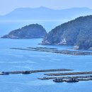 산양초등학교곤리분교장 이미지