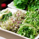 호림이네 이미지