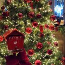 호텔여기어때 서인천 | 호캉스하기 좋은 호텔 추천 네스트호텔 인천 - 수영장 및 부대시설 이용시간