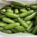 우성농장 이미지