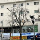 에센슈얼(동부이촌점) | 이촌동미용실, 힐링 두피팩까지 완벽했던 '에센슈얼 동부이촌점' 톤다운 염색후기