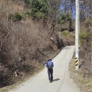 원주굽이길 원2코스 구학산둘레숲길 이미지
