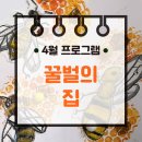 헤이호이미술교습소