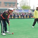 게이트볼 이미지