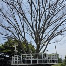 안면도먹빵 | [충남/태안] 안면도먹빵 : 건강한 빵을 먹을 수 있는 태안 안면도 통밀빵 맛집